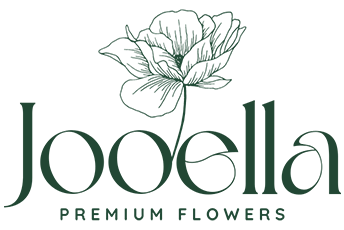 Jooella - Blüten, die bleiben